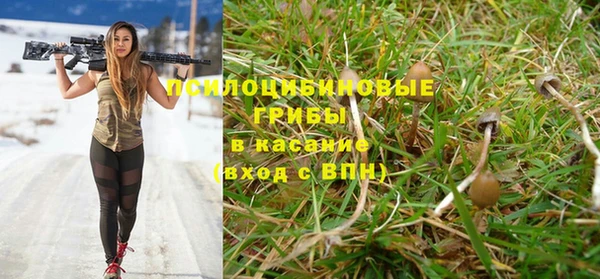 метадон Богданович