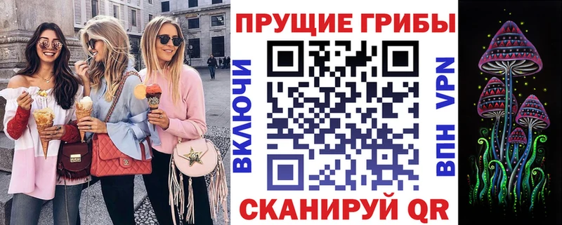 Галлюциногенные грибы Psilocybine cubensis  Обь 